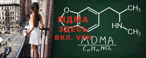 гашик Алексин