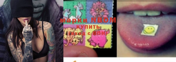 гашик Алексин