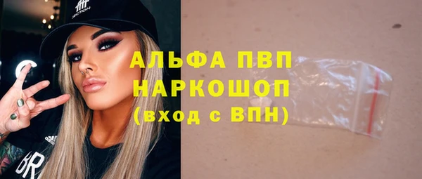 гашик Алексин