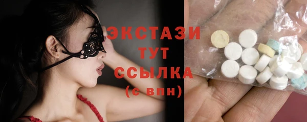 гашик Алексин