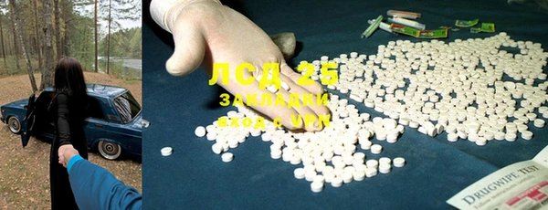 гашик Алексин
