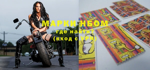 гашик Алексин