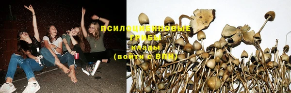 трава Алзамай