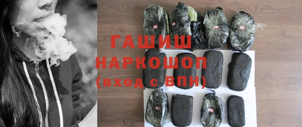 гашик Алексин