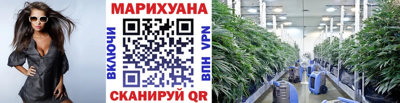 Шишки марихуана планчик  сайты даркнета формула  Бодайбо 